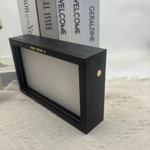 Light box picture frame
